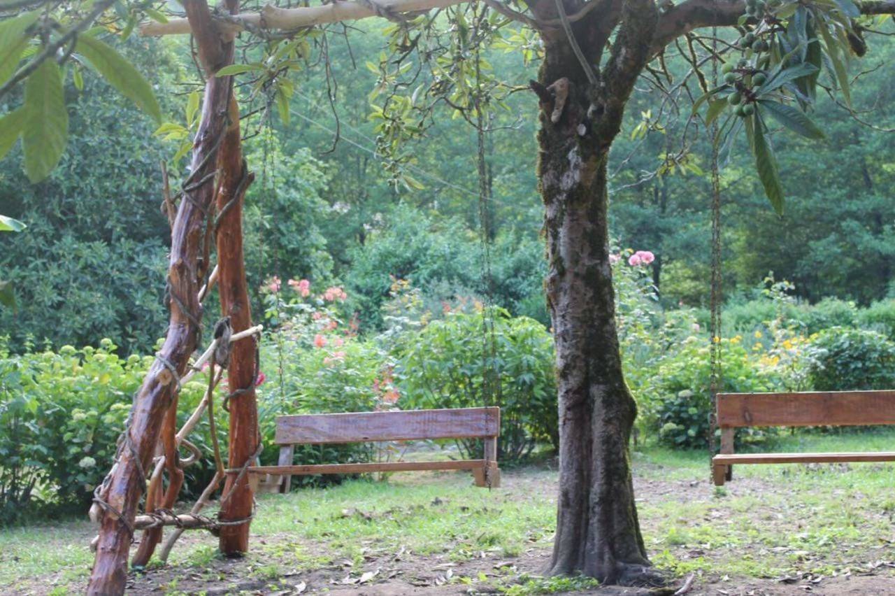 Фото Гостевого дома Место под солнцем Lidzava 12